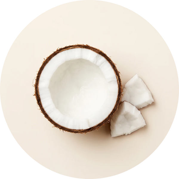 TREDWLL sec s22 components i2 coco